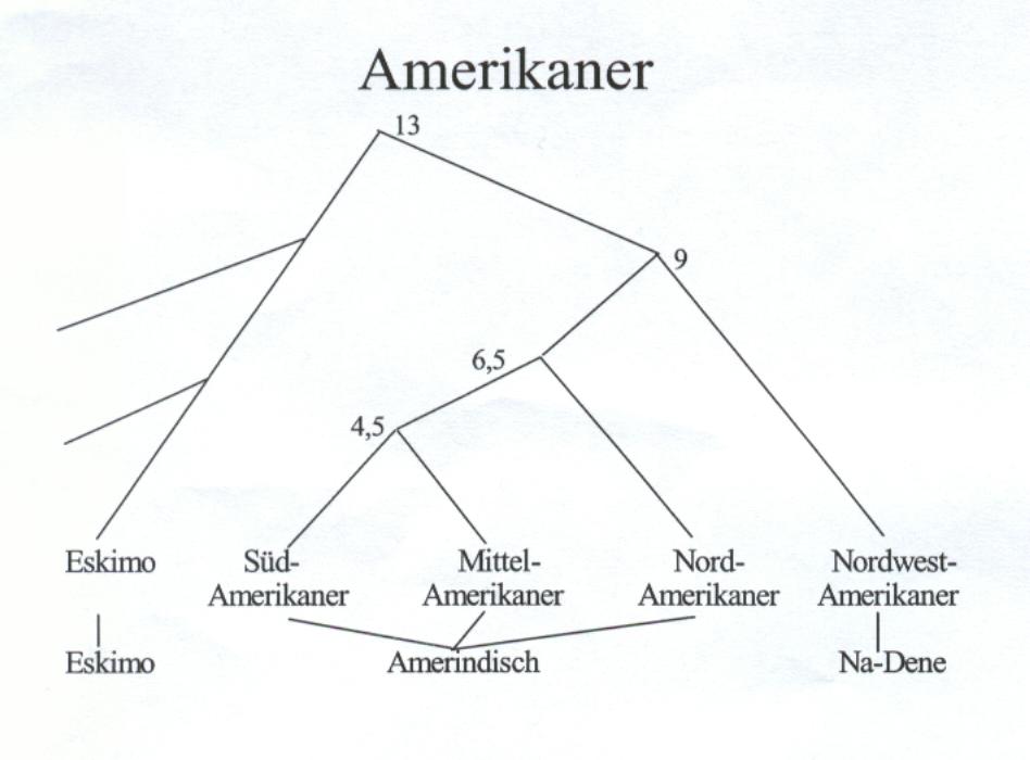 Amerikaner