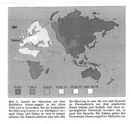 Baskisches Genprofil