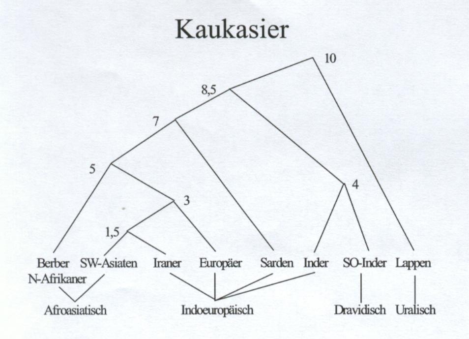 Sprachverwandtschaften