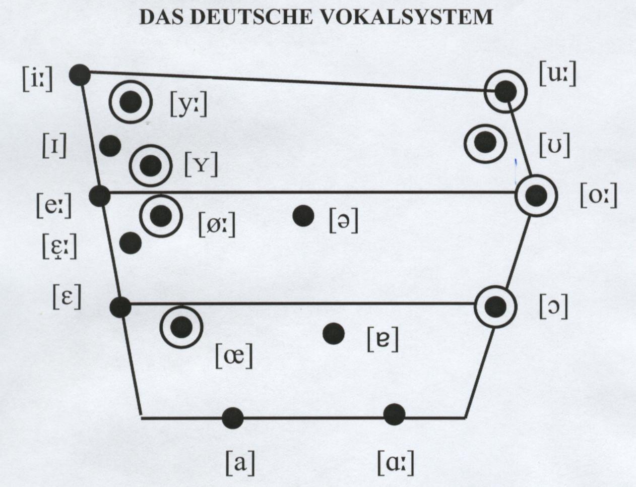 Artikulationsort