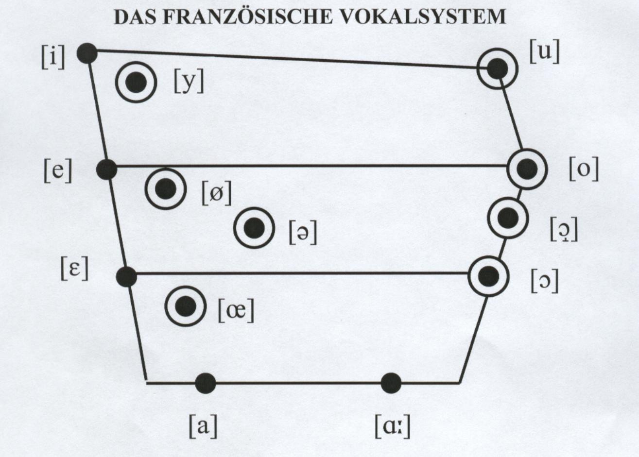 Artikulationsort
